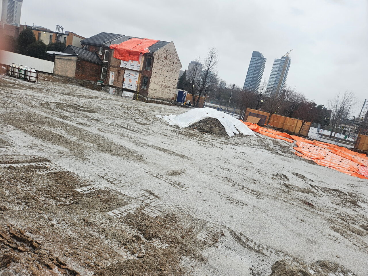 1162013602381377127 2.JPG