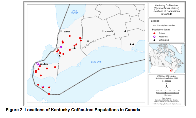 1641915875244-png.374234