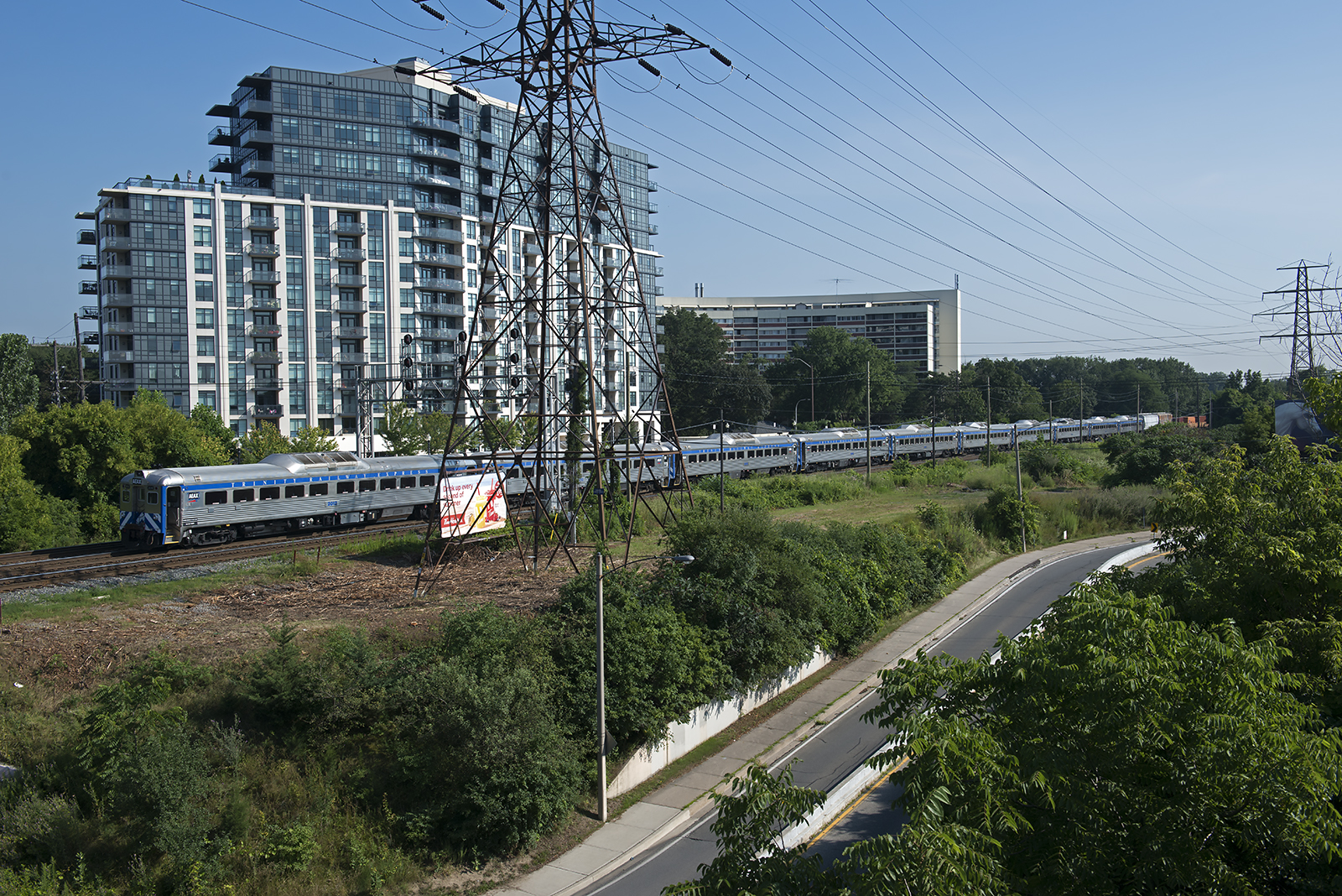 20180801 CP Budds.jpg