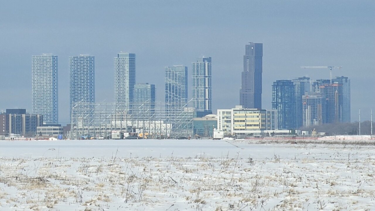 20250117_112446 copy.jpeg