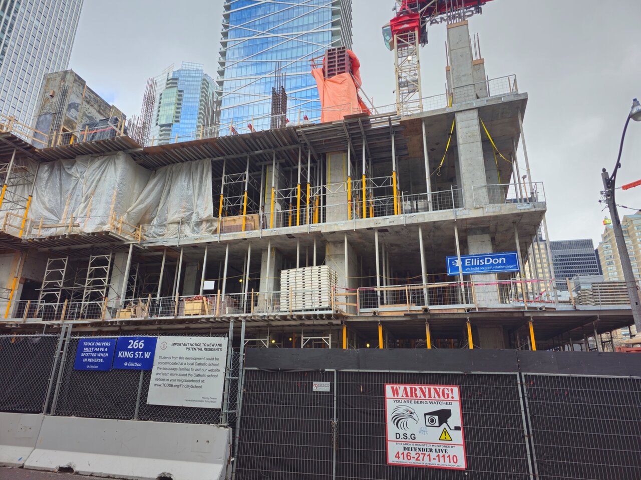 20250126_123356 copy.jpg