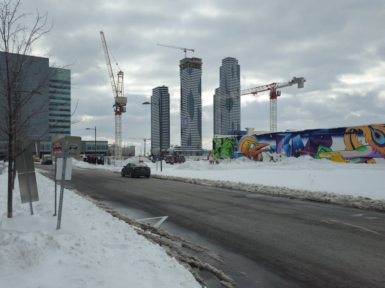 20250214_135007 copy.jpeg