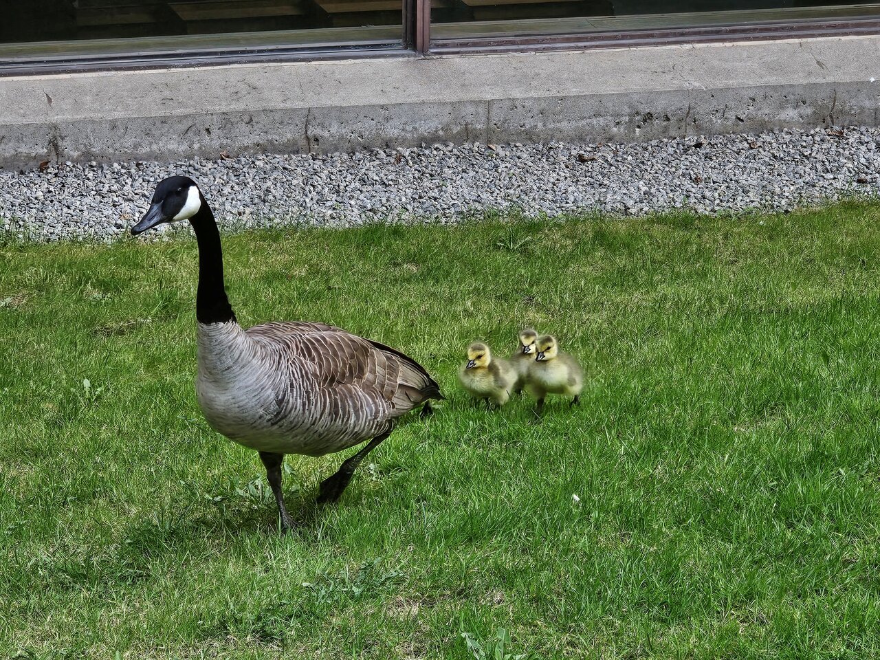 20250507_180425 copy.jpg