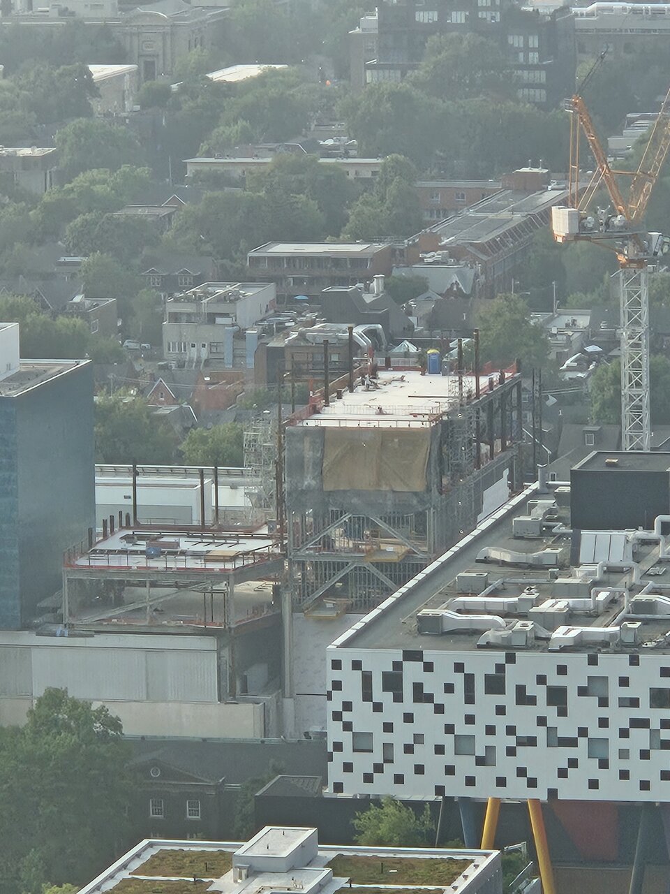 20250807_Dani Reiss AGO.jpg