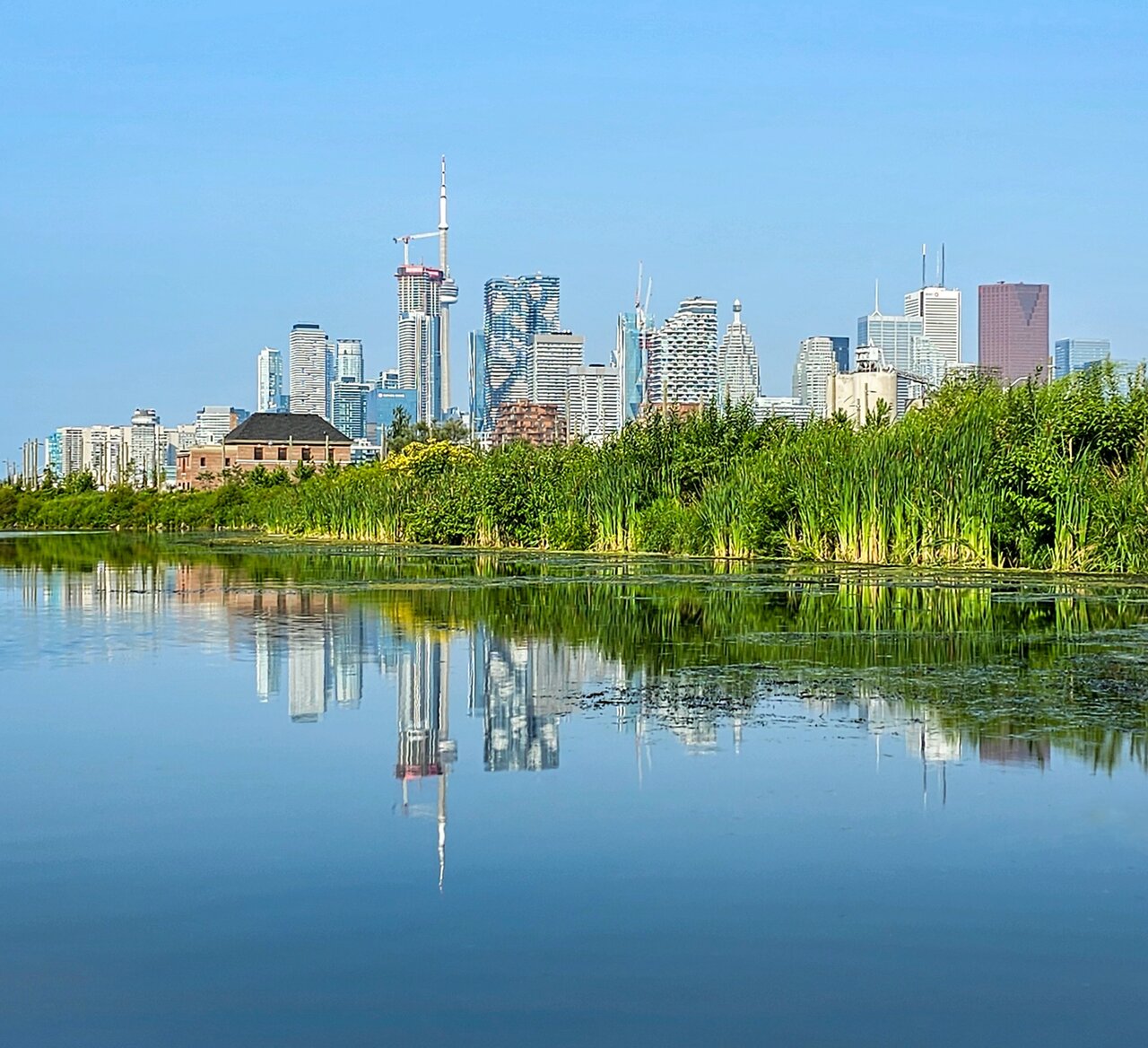 20250810_093341 (1).jpg