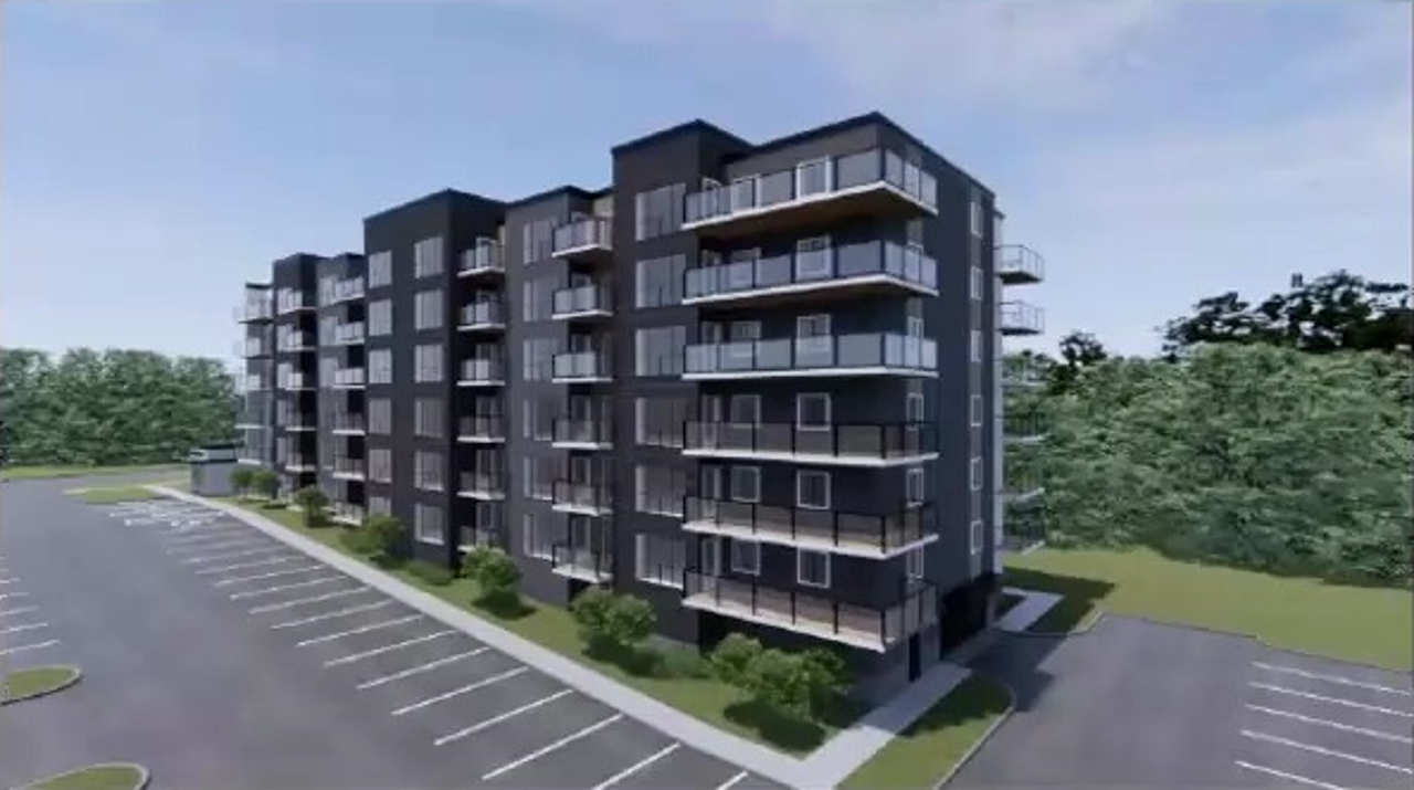 286 Ardagh Road _ Proposed Development Neighbourhood Meeting Presentation 9-34 screenshot - Co...jpg