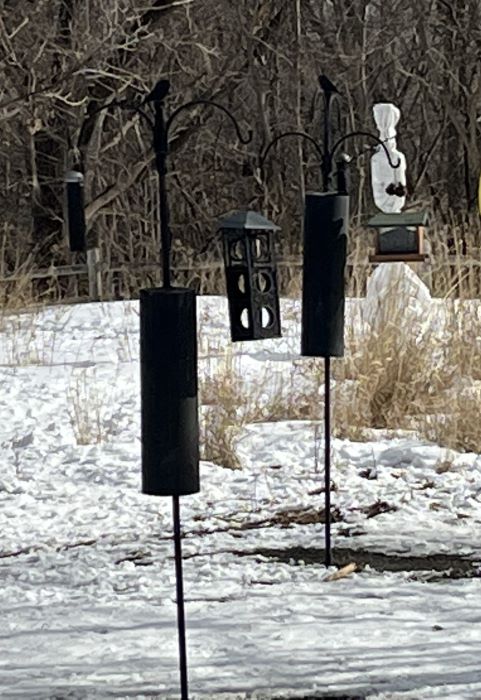 bird_feeders.jpg