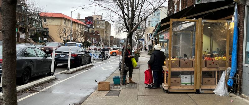 Bloor_bike_lane_800pxls.JPG