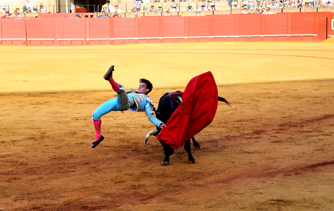 bullfighting25.jpg