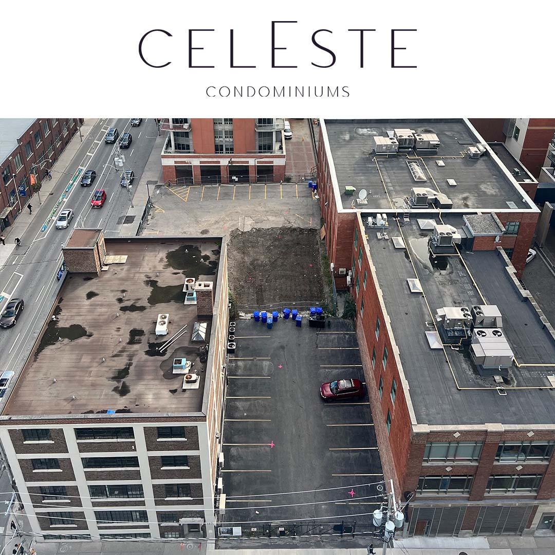 celeste 2022 fall.jpg