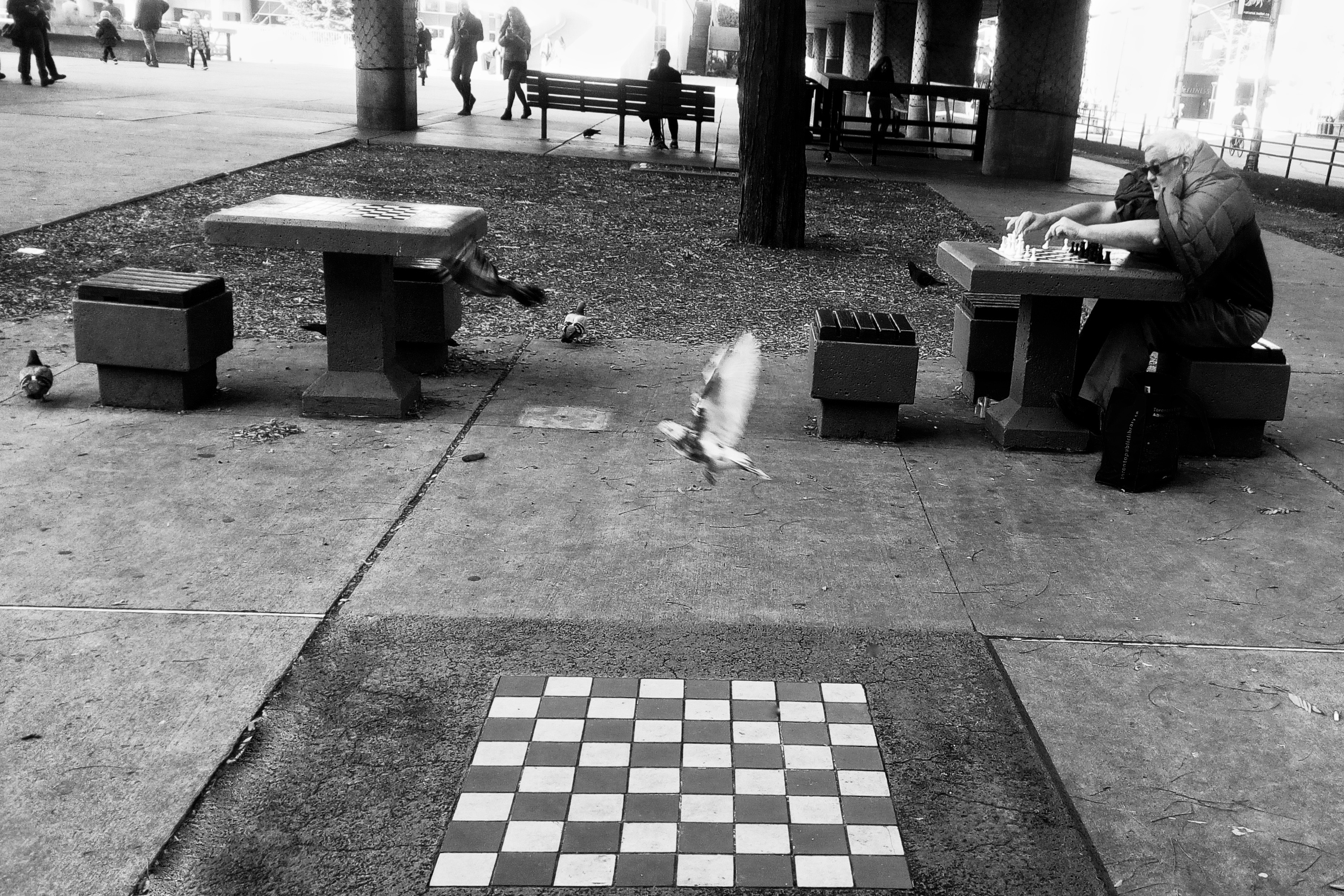 Chess corner Nathan Phillips Square.jpg