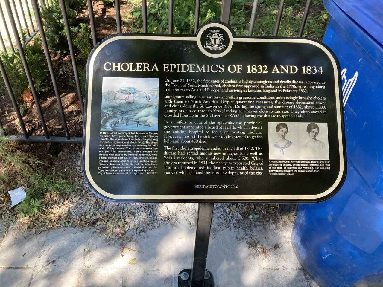 Cholera.JPG