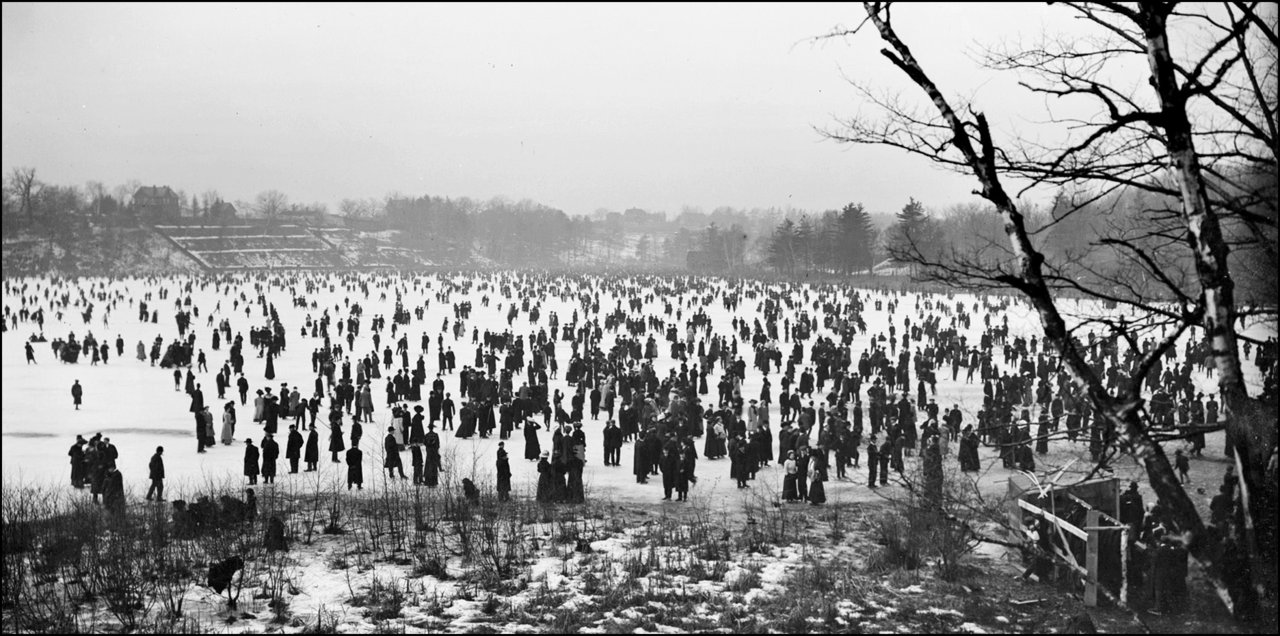 Grenadier Pond, High Park 1908 TPL.jpg