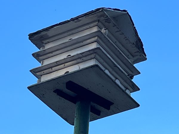 High_Park_birdhouse.JPG