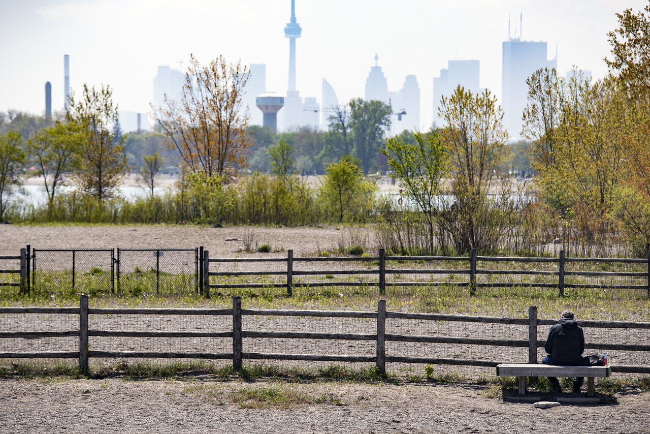 kew beach dog park.jpeg