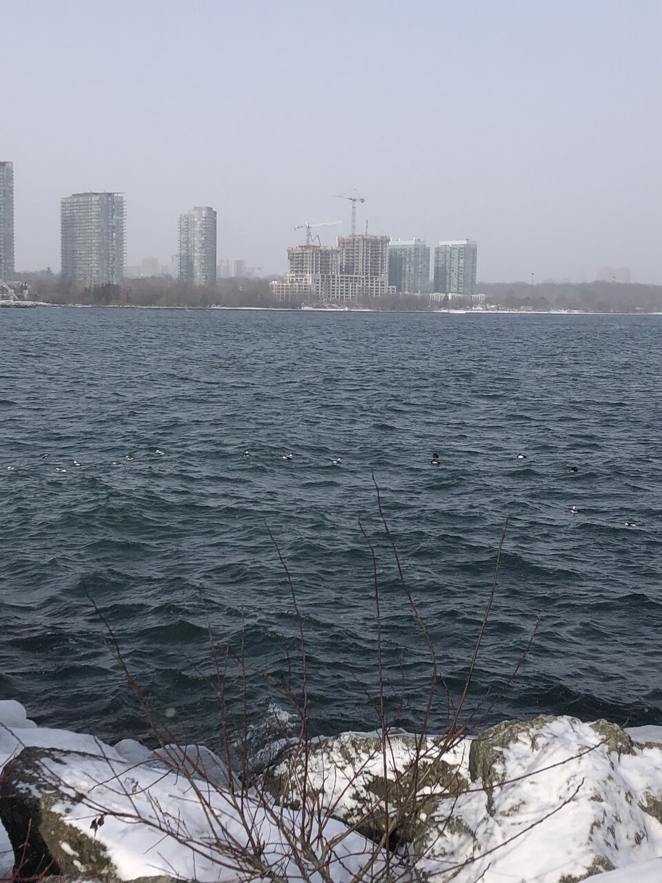 Mirabella lake view.jpg