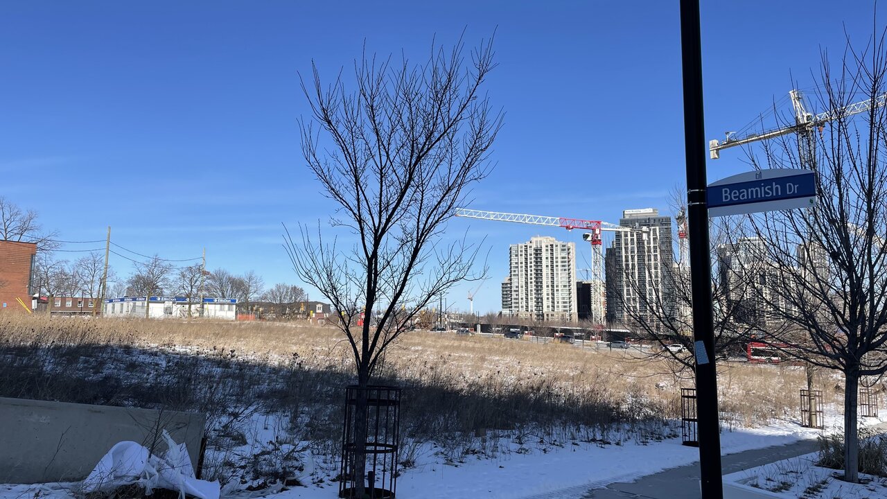 Photo 2025-02-01, 1 17 31 PM.jpg