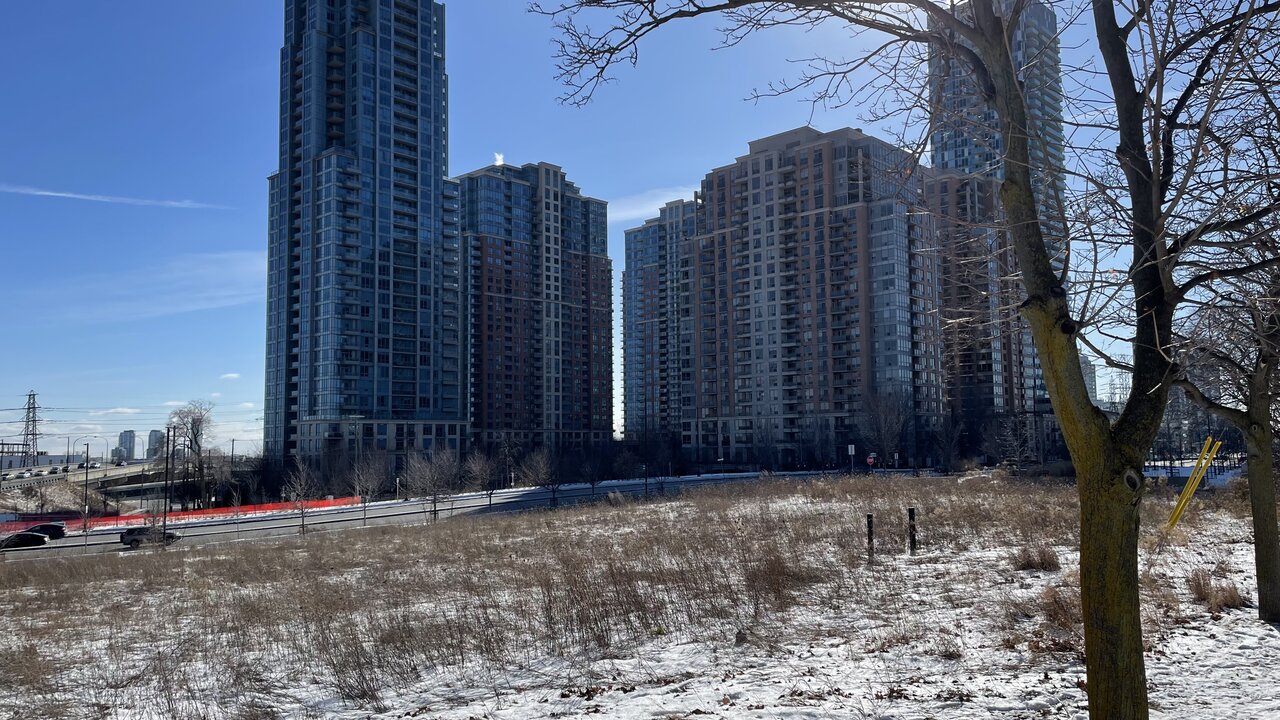 Photo 2025-02-01, 1 24 53 PM.jpg