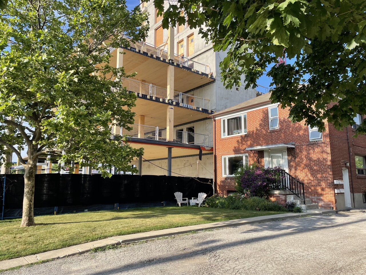 Photo 2025-07-09, 7 55 50 AM.jpg