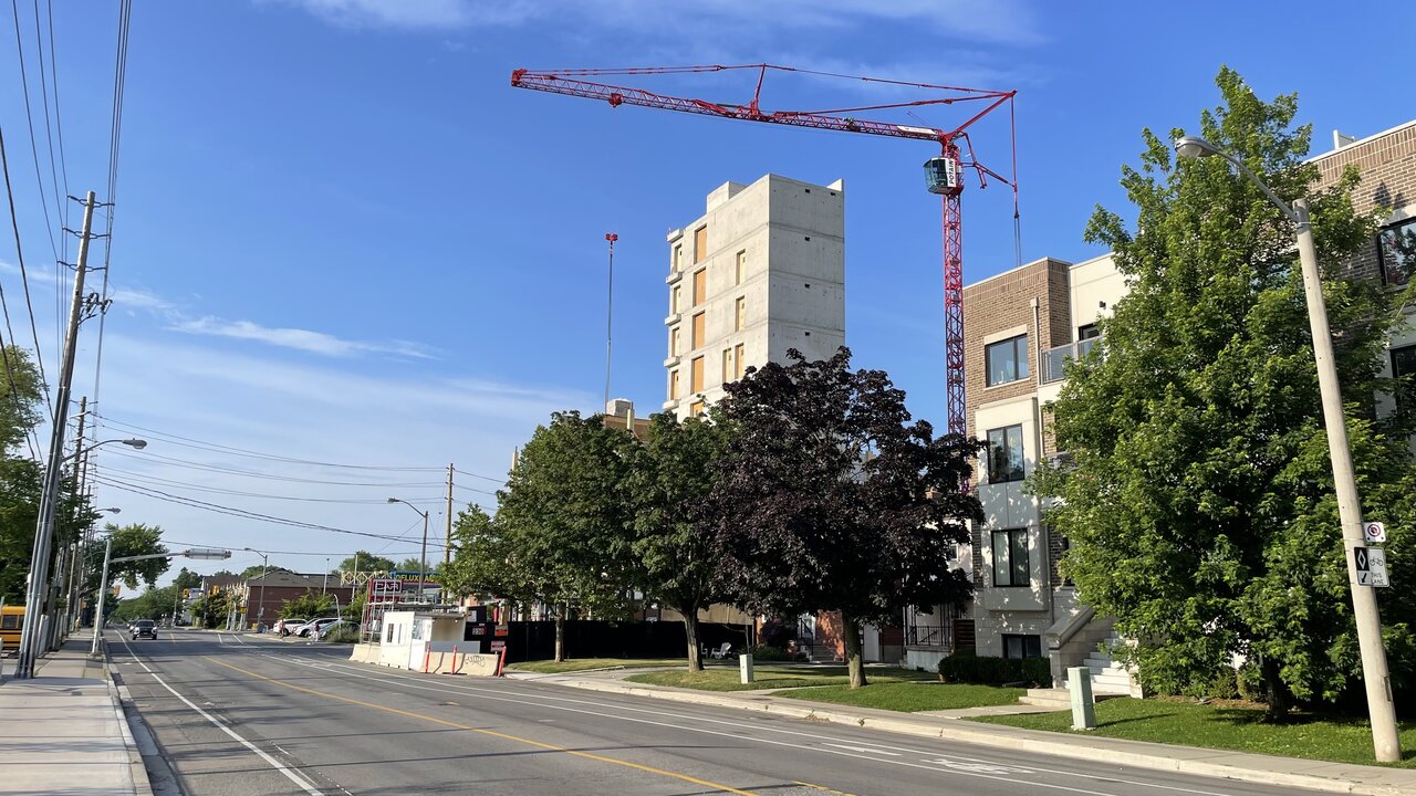 Photo 2025-07-09, 7 57 06 AM.jpg