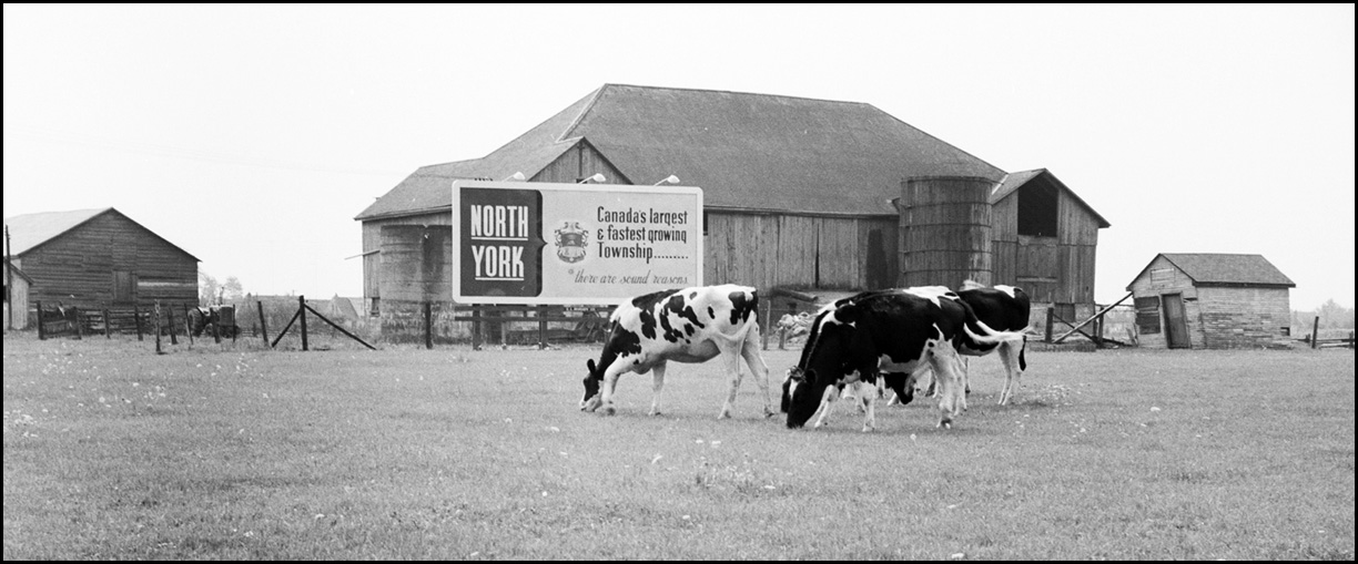 Robinson dairy farm, west of Yonge Street south side of Steeles Avenue, currently (2018) Cente...jpg