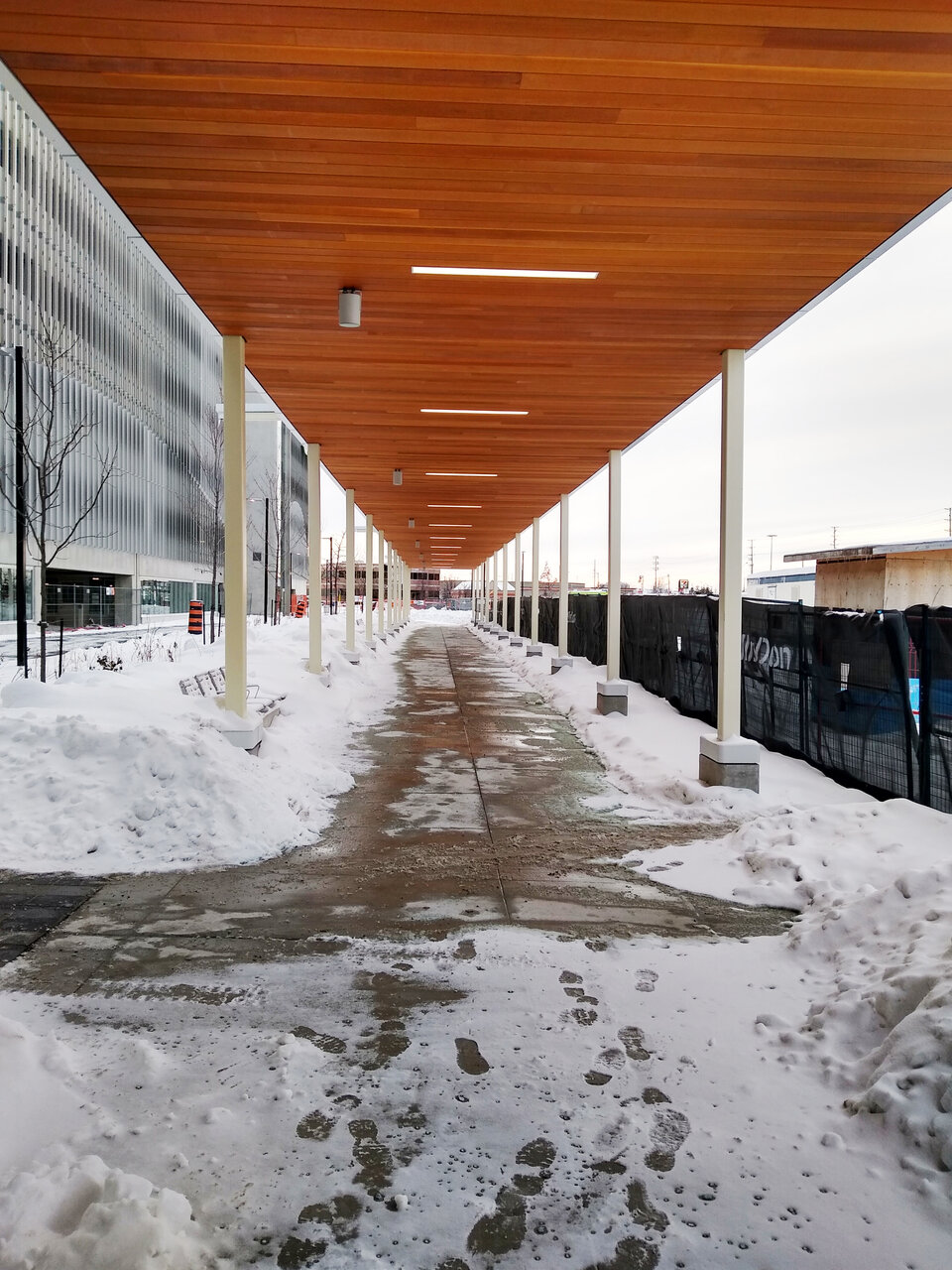 Rutherford2202 Canopy.jpg