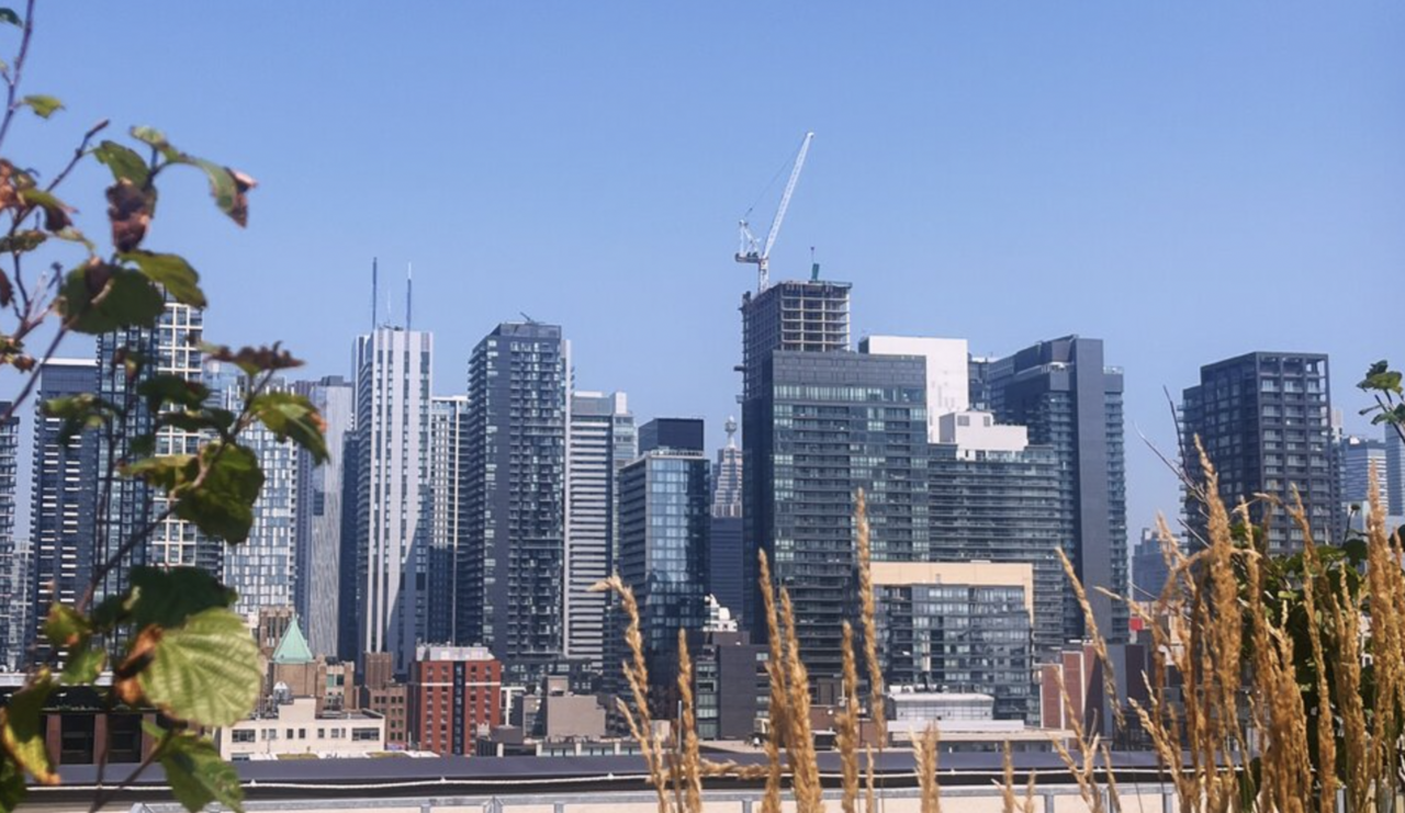 Screen Shot 2025-07-21 at 13.11.56.png