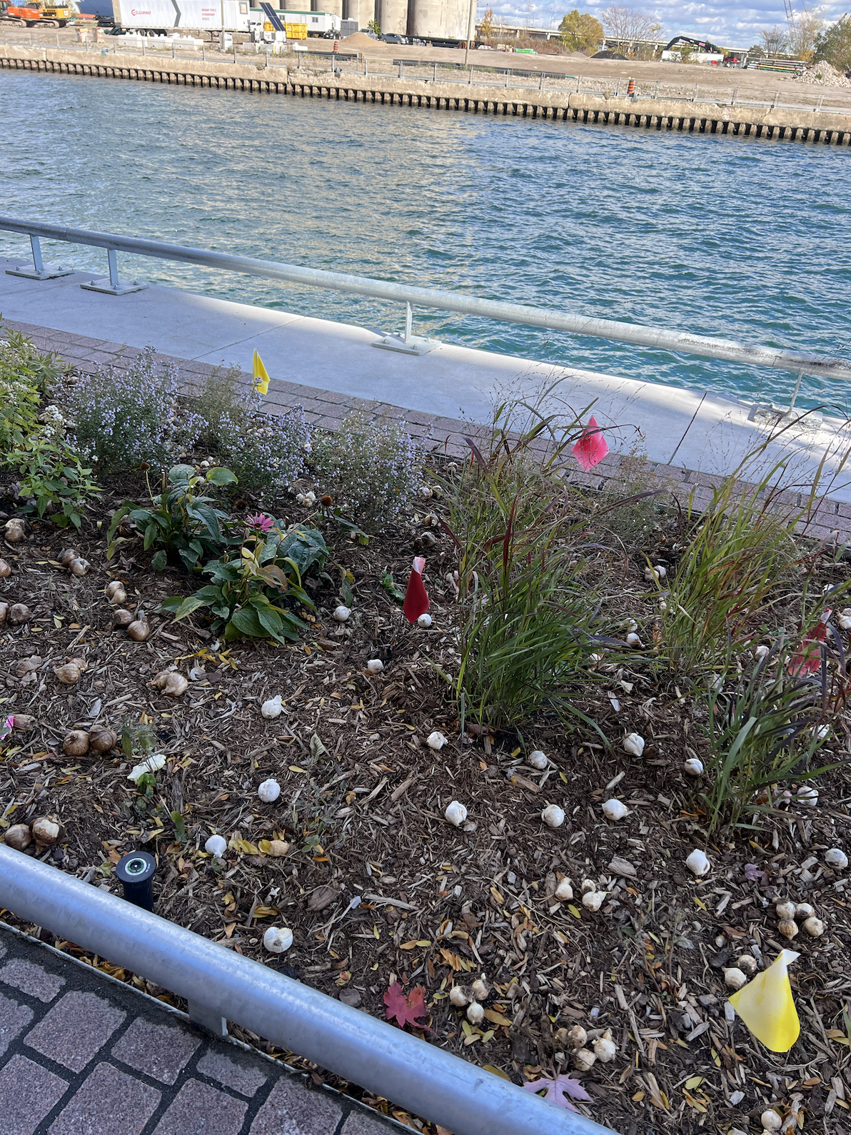 Screenshot 2025-11-04 at 1.28.48 PM.png