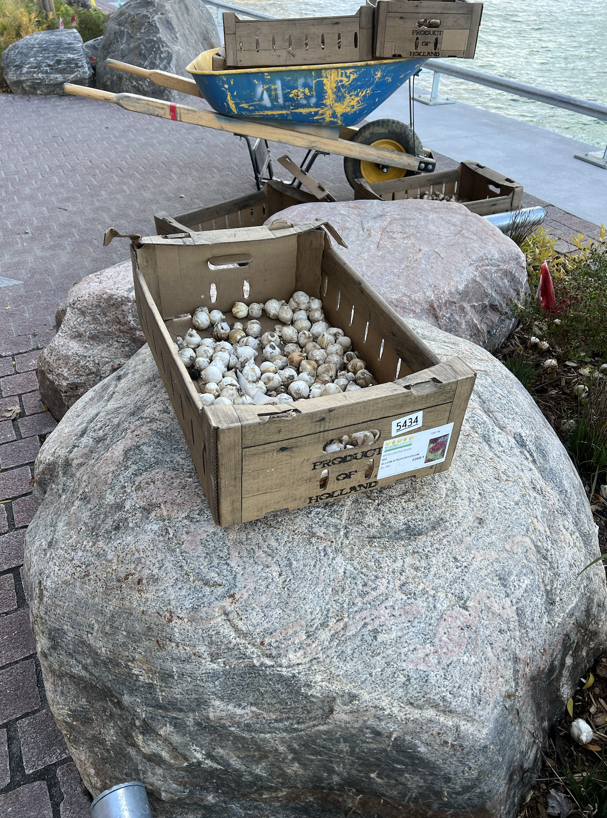 Screenshot 2025-11-04 at 1.29.34 PM.png