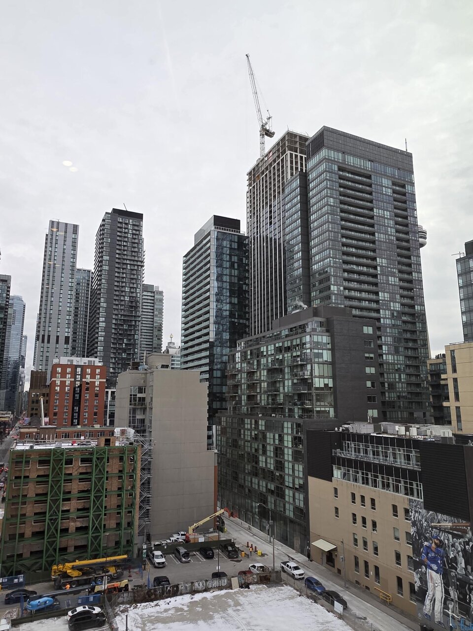 shared image (2).jpg