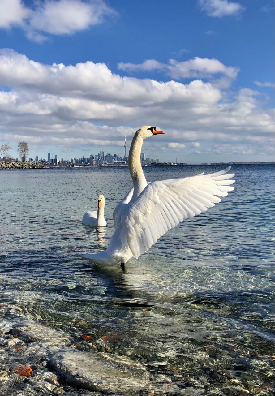 thumbnail_IMG_6476 (1).jpg