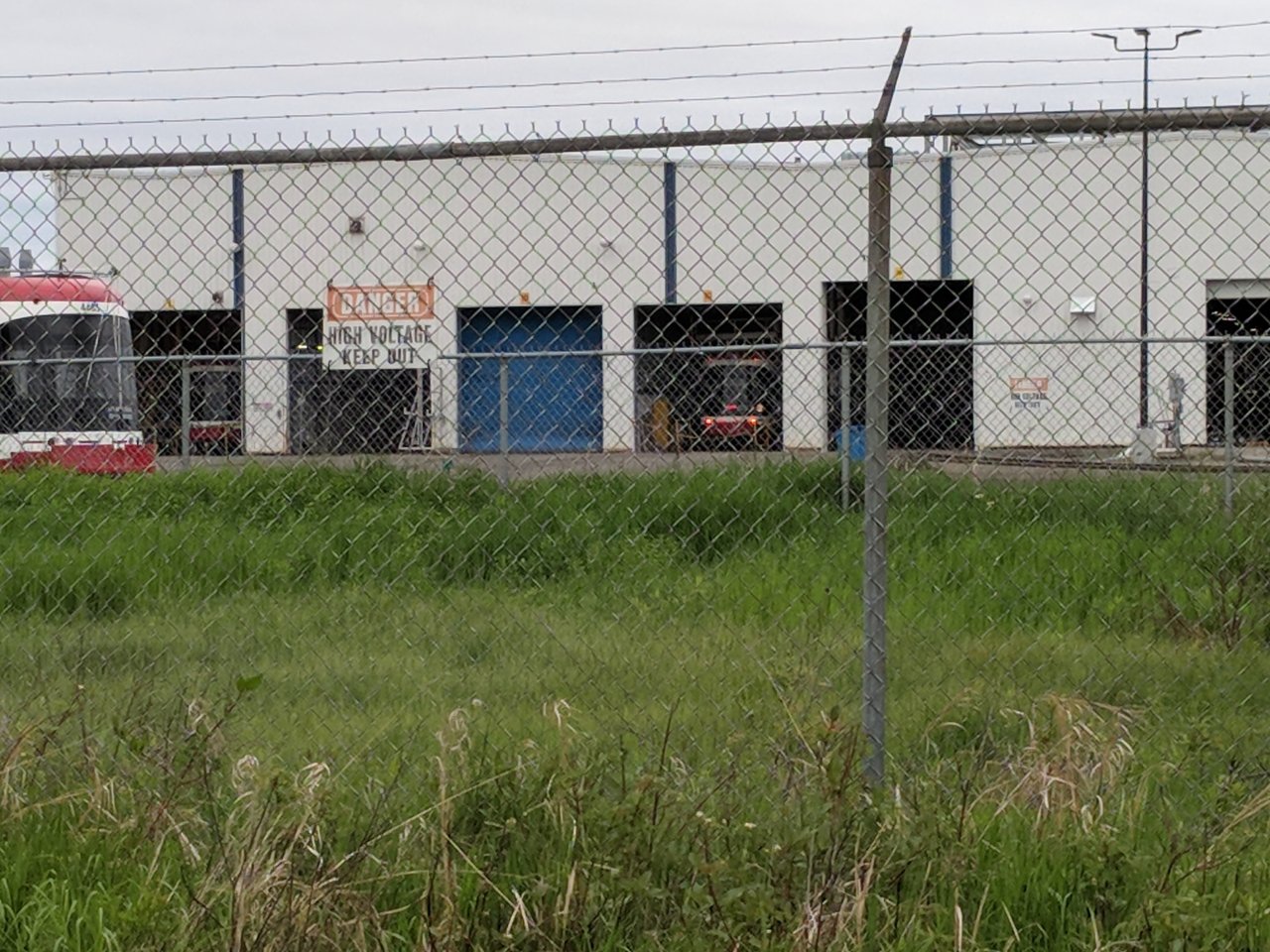 Two More Peeking Out.jpg