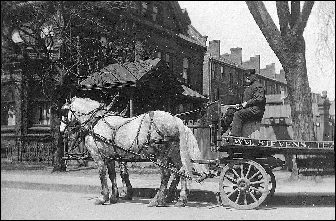 William Stevens, teamster, Toronto 1919  TPL.jpg