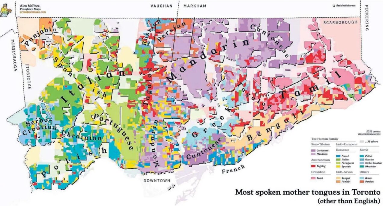 WillowdaleMotherTongue_2021StatsCanadaCensus2.jpg